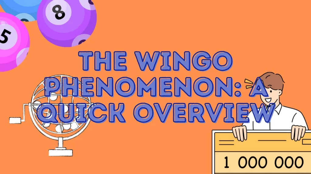 the wingo phenomenon: check overview