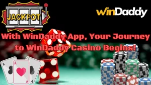 windaddy app